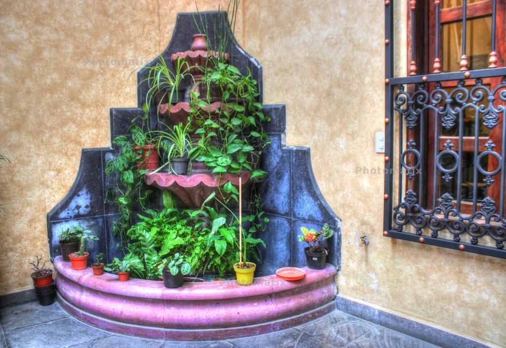 Hotel Plaza Real Coscomatepec de Bravo Dış mekan fotoğraf